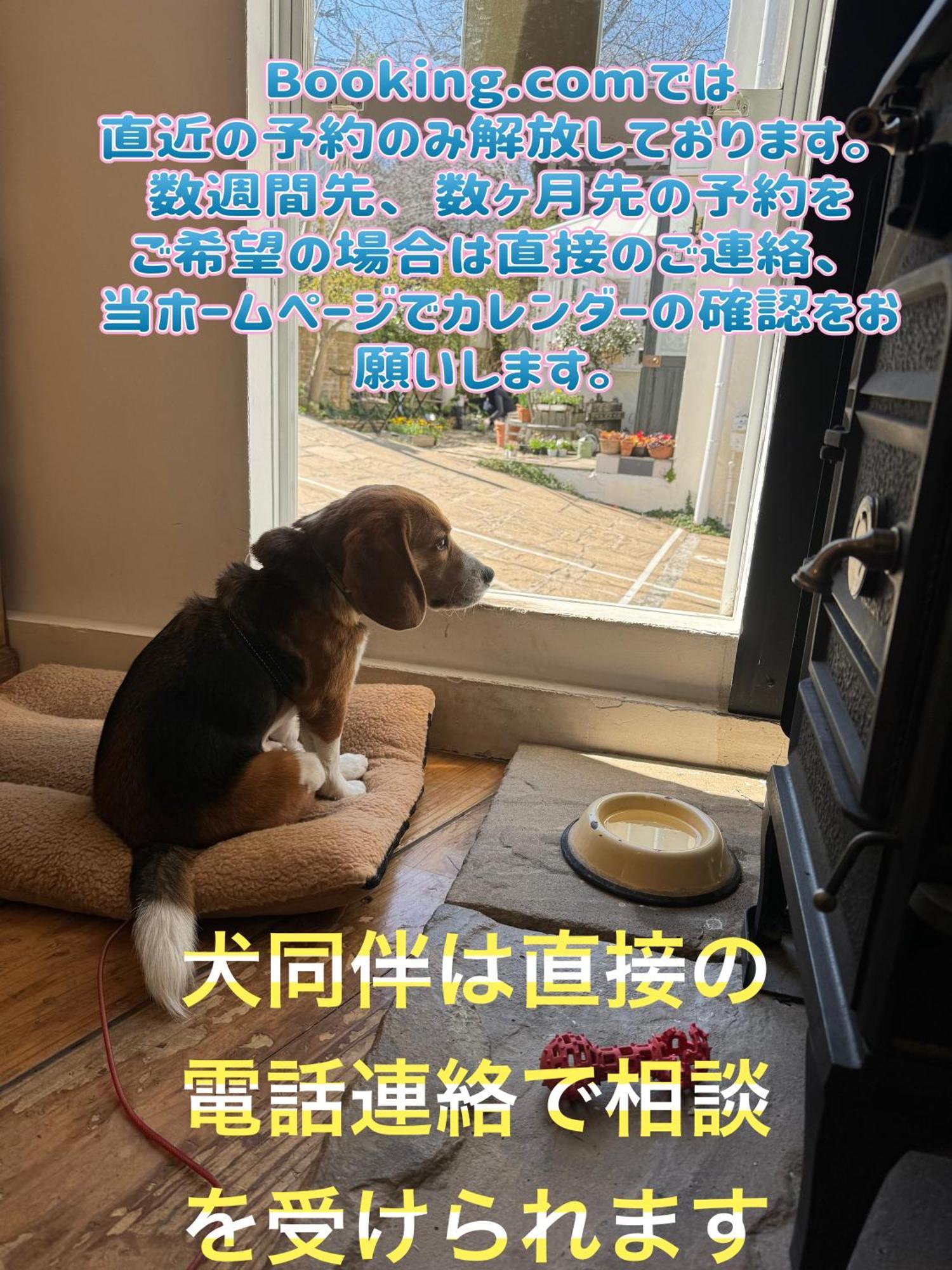 Kamakurayama Holiday Flat Zewnętrze zdjęcie